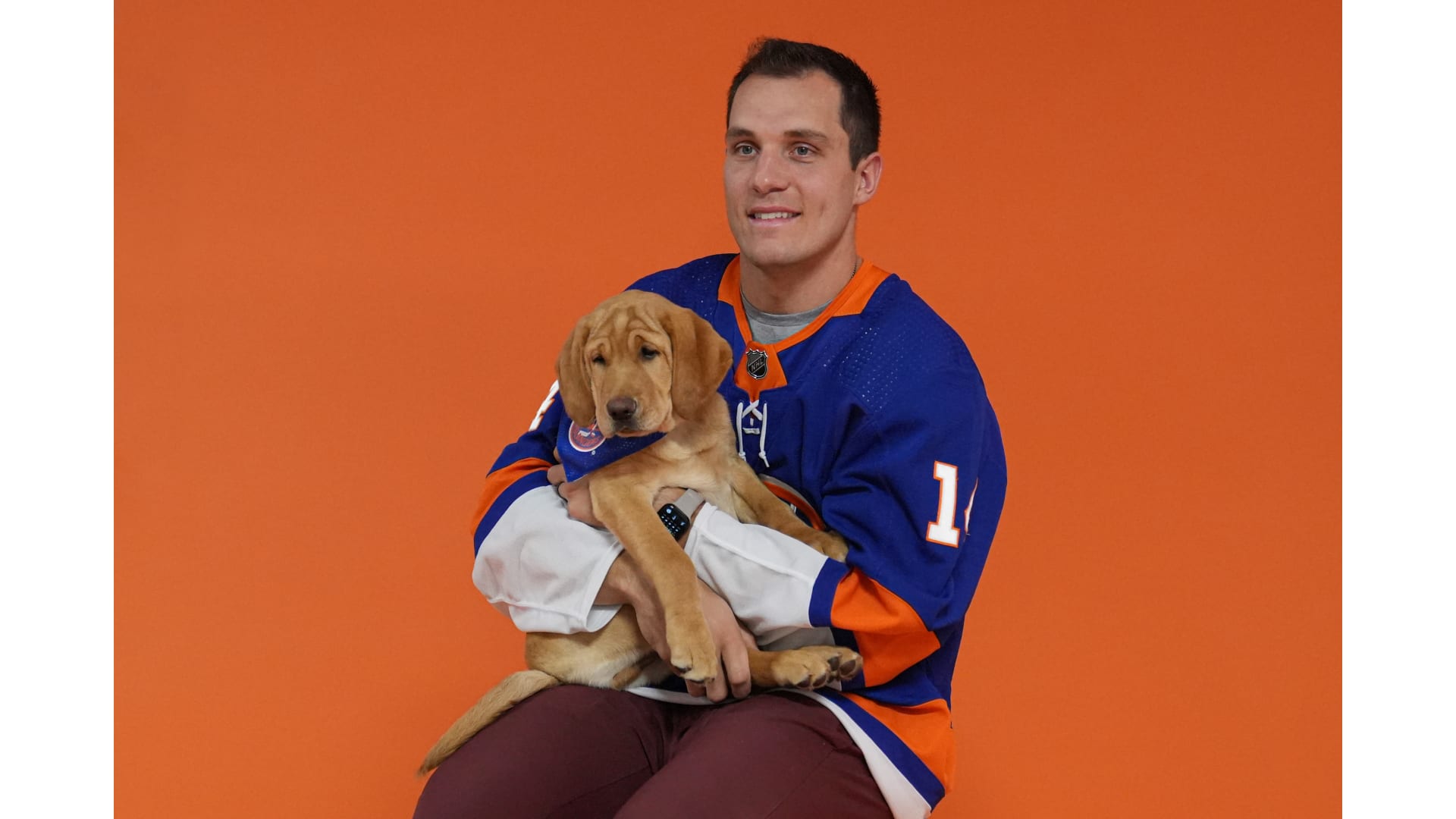 Islanders fans votes are in, the third New York Islanders' Puppy