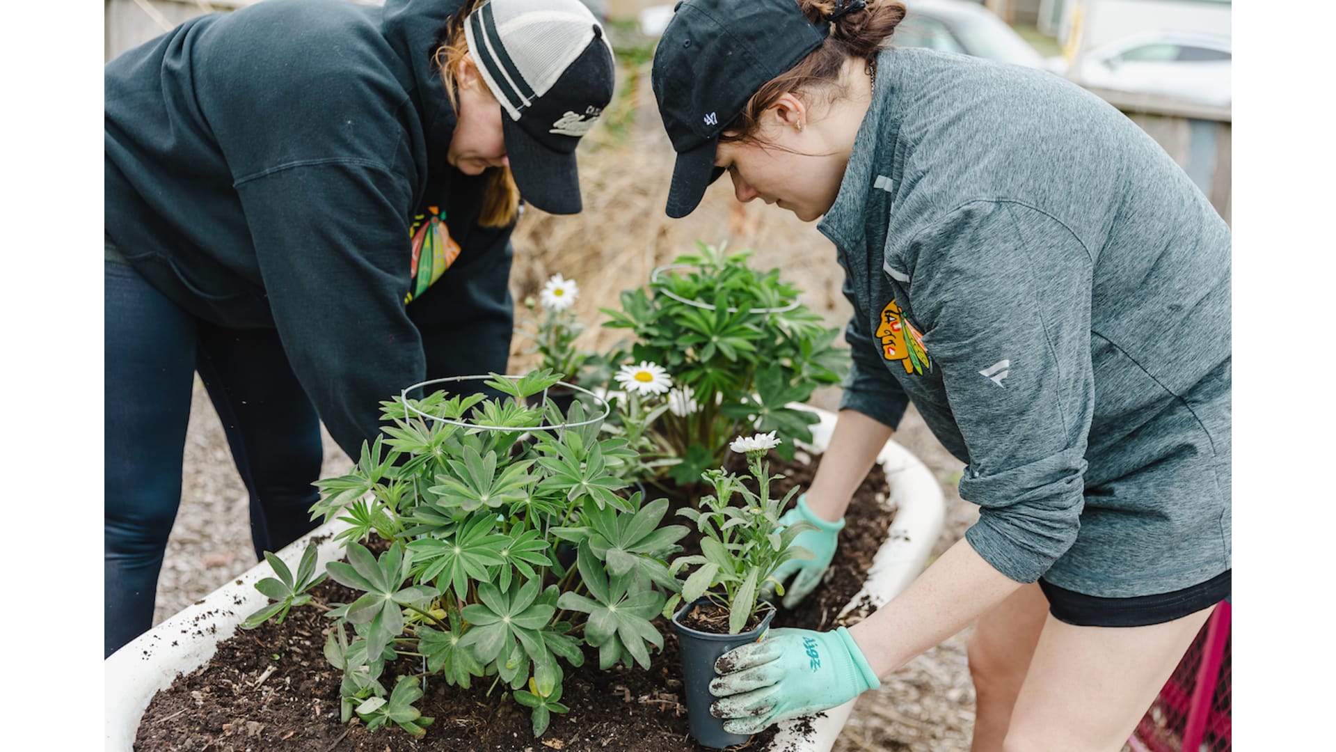 Bronzeville Community Garden Cleanup Chicago Blackhawks