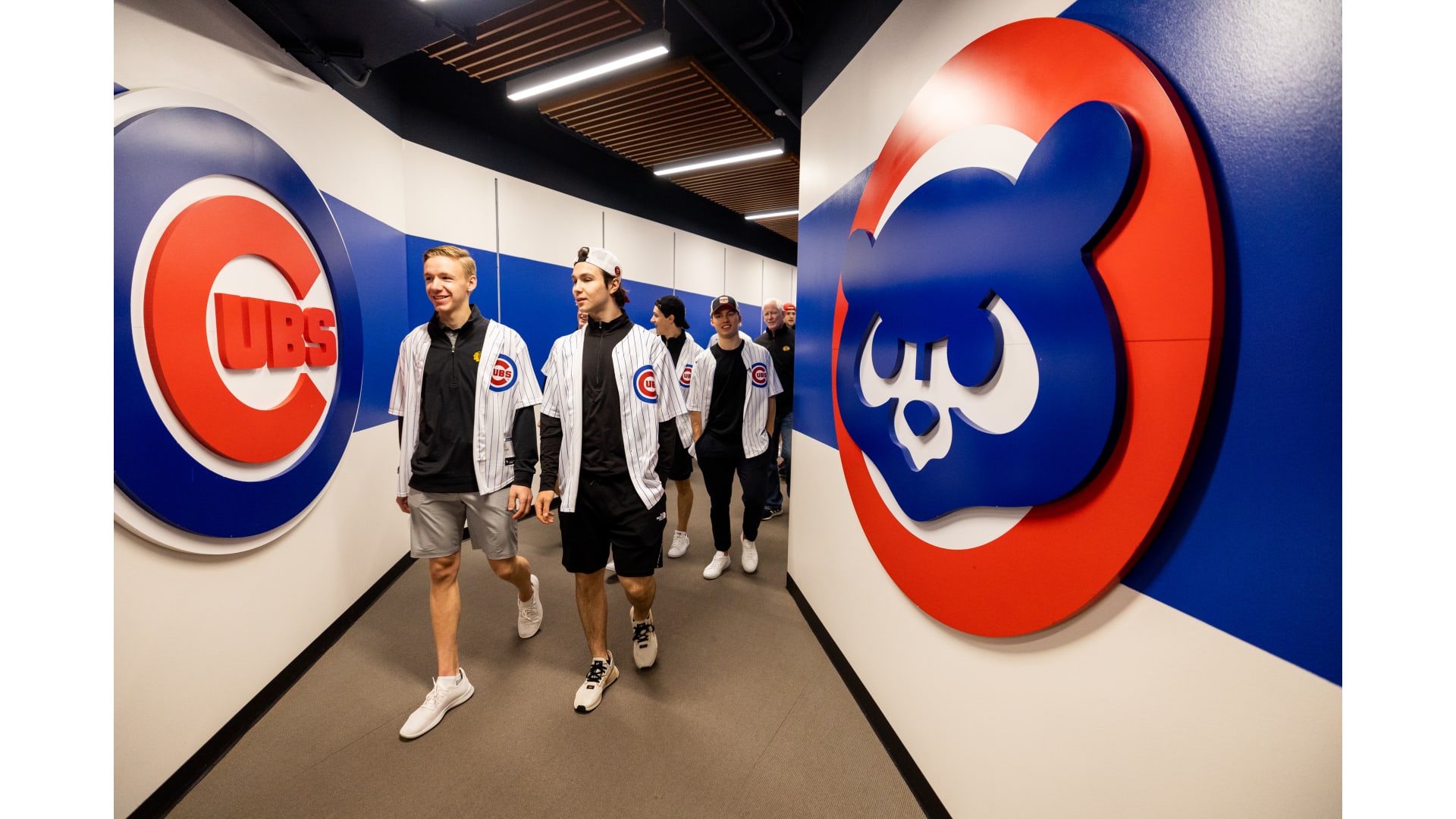 cubs game work outfit｜TikTok Search