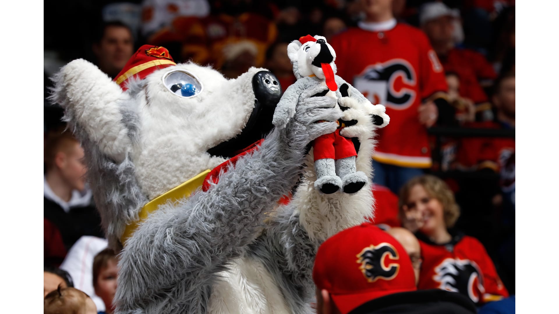 NHL's first mascot, the Flames' Harvey the Hound, still barking strong 30  years later - The Hockey News