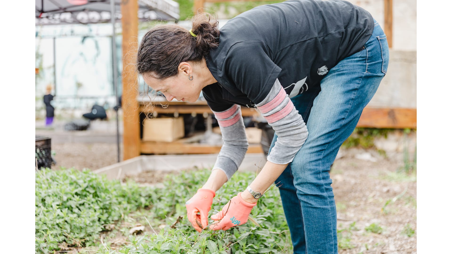 Bronzeville Community Garden Cleanup Chicago Blackhawks
