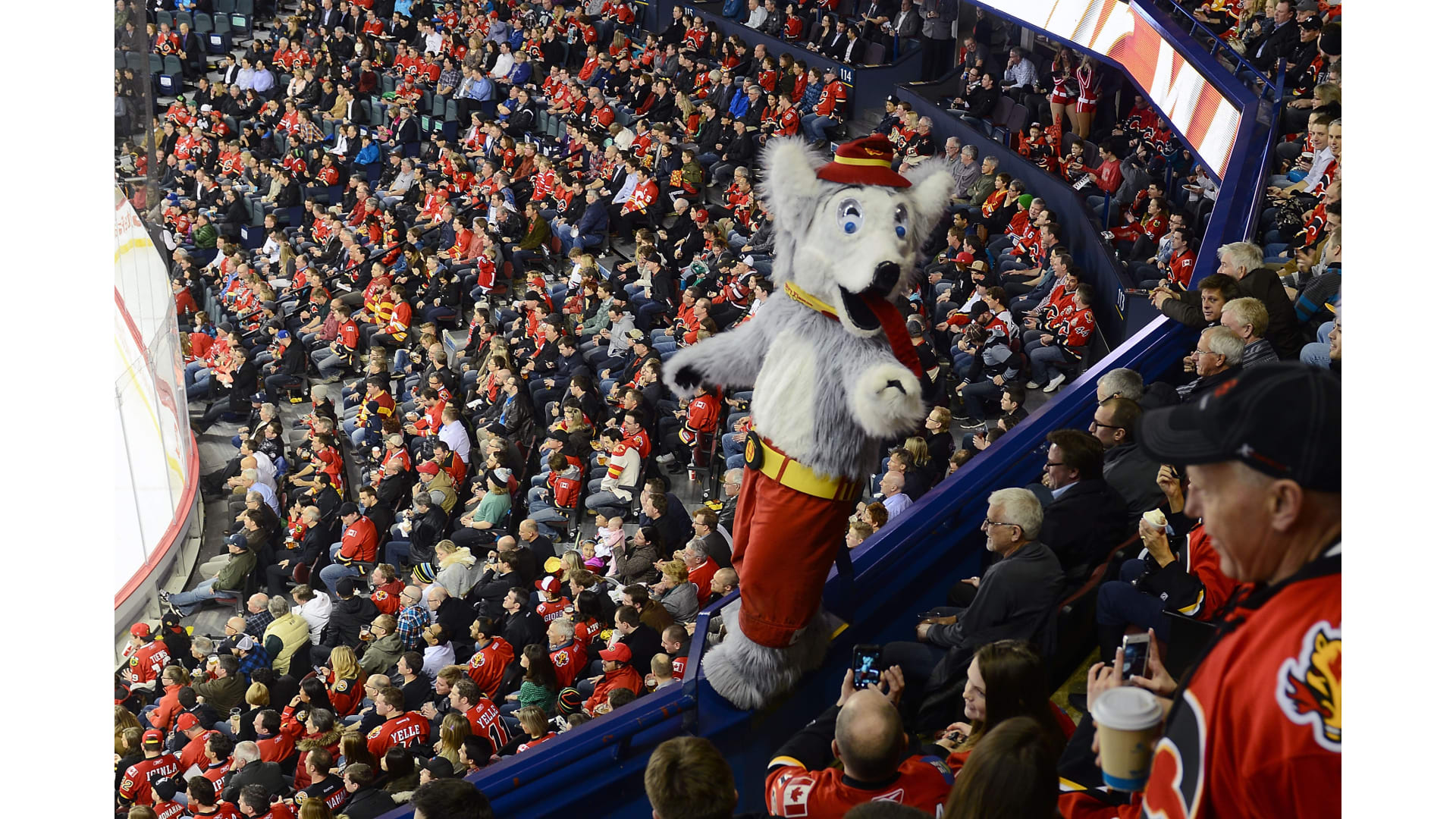 Calgary Flames' Harvey the Hound is the worst mascot in the NHL, fans say