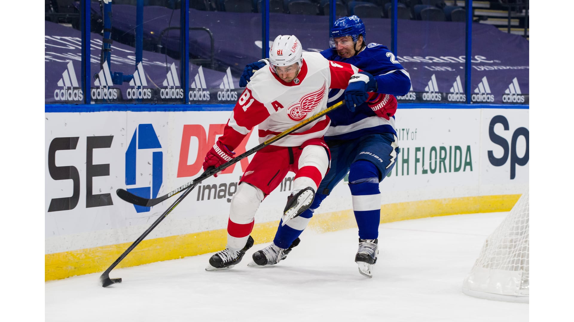Detroit Red Wings vs. Tampa Bay Lightning | Detroit Red Wings