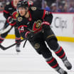 Preview Ottawa Senators před sezonou 2025-26