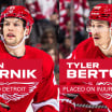 Red Wings recall Austin Czarnik from Griffins