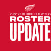 Detroit releases trio from amateur tryouts