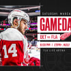 Preview: Red Wings visit Florida Panthers Saturday evening