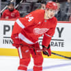Detroit Red Wings William Wallinder nytt kontrakt