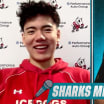 Sharks Mic Check: Haoxi (Simon) Wang