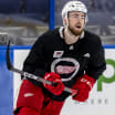 Red Wings recall Hronek, assign Lashoff