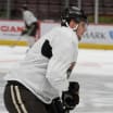 Rinkside Update | Todd Nelson