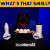 What's That Smell?