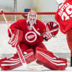 Notes: Jimmy Howard got unexpected but happy offseason phone call