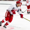 Red Wings Trim Roster To 48