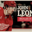 Red Wings recall John Leonard from Grand Rapids under emergency conditions