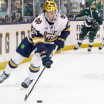 Bruins Sign Drew Bavaro to One-Year Entry-Level Contract 