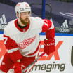 Red Wings Reset: 2021-22 defensemen breakdown