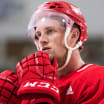 Notes: Mantha wants to be elite young player that the Wings need