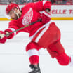 Red Wings call up Frk from Griffins