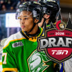 Senators bet on upside in Lagerberg Hoen and Cover