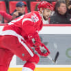 Red Wings recall Brian Lashoff from Grand Rapids