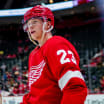 Red Wings Reset: 2022-23 left and right wing breakdown