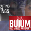 Waiting in the Wings | Buium