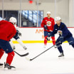 PREVIEW: Panthers host Lightning in preseason finale