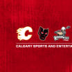 Calgary Sports and Entertainment Corporation Announce Senior Executive Leadership Changes