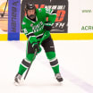 2026 NHL Draft Metropolitan Division needs