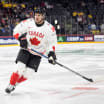 Islanders at 2025 IIHF World Championship