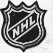 NHL participates in player safety summit with other hockey associations