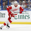 Red Wings assign Ehn to Griffins