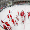 Red Wings reduce training camp roster by 10