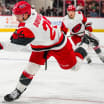 Canes Recall Bayreuther From Chicago