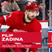 Red Wings recall Filip Zadina from conditioning loan