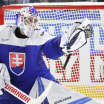 Red Wings add free agent goaltender Patrik Rybar