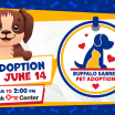 buffalo sabres pet adoption event june 14 2025 keybank center
