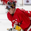 Red Wings recall Fulcher under emergency conditions