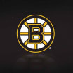 Bruins Announce 2024-25 Scouting Mentorship Participants