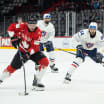 Islanders at 2025 IIHF World Championship