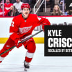 Red Wings recall center Kyle Criscuolo