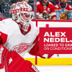 Red Wings assign Alex Nedeljkovic to Grand Rapids for conditioning