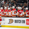 32 týmů ve 32 dnech Calgary Flames