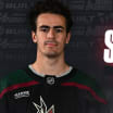 coyotes sign lipkin to entry level contract