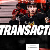 Flames Assign Matt Coronato 