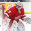 Red Wings return Pickard to Griffins