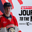 Journey to the NHL: Anton Lundell