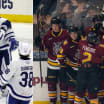 Minors Report - Chicago Wolves vs Toronto Marlies im Calder Cup Finale