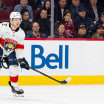 Divisionsfinaler i Calder Cup-slutspelet